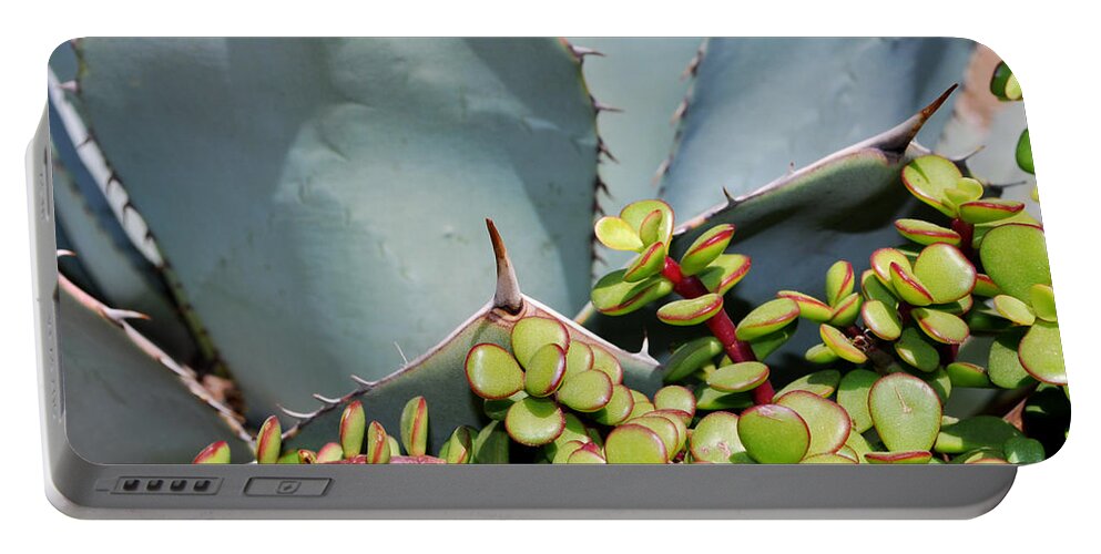 Agave Portable Battery Charger featuring the photograph Soft and Sharp by Heather Kirk