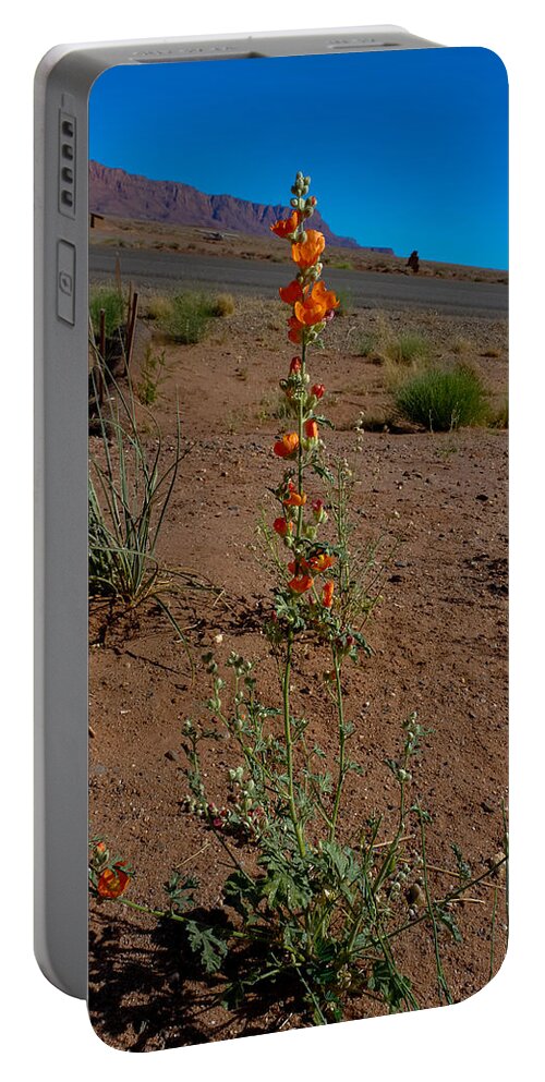 Flower Portable Battery Charger featuring the photograph Southwest Wildflower by Julie Niemela