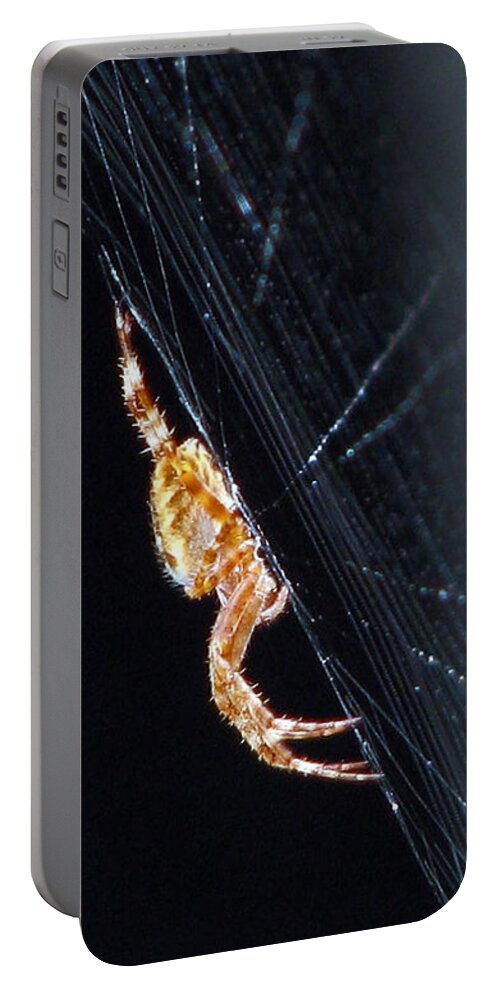 Spider Portable Battery Charger featuring the photograph Spider Solitaire by Chris Anderson
