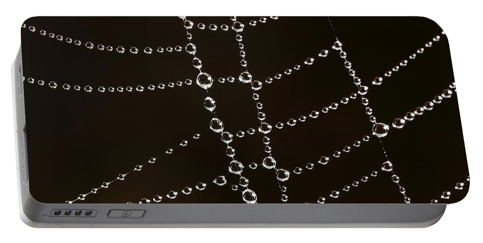 Mp Portable Battery Charger featuring the photograph Spider Web With Beads Of Dew, France by Cyril Ruoso