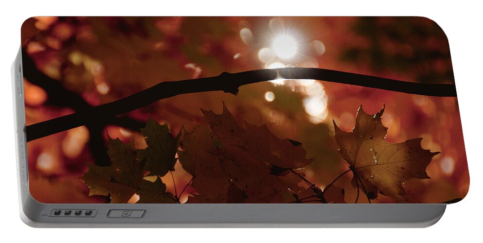 Landscape Portable Battery Charger featuring the photograph Spotlight on Fall by Cheryl Baxter