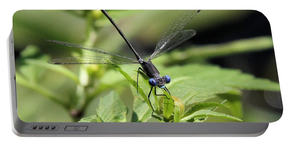 Spreadwing Damselfly Portable Battery Charger featuring the photograph Spreadwing Damselfly by Doris Potter
