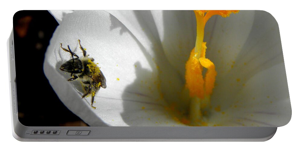 Bee Portable Battery Charger featuring the photograph Springs First Pollination by Kim Galluzzo Wozniak