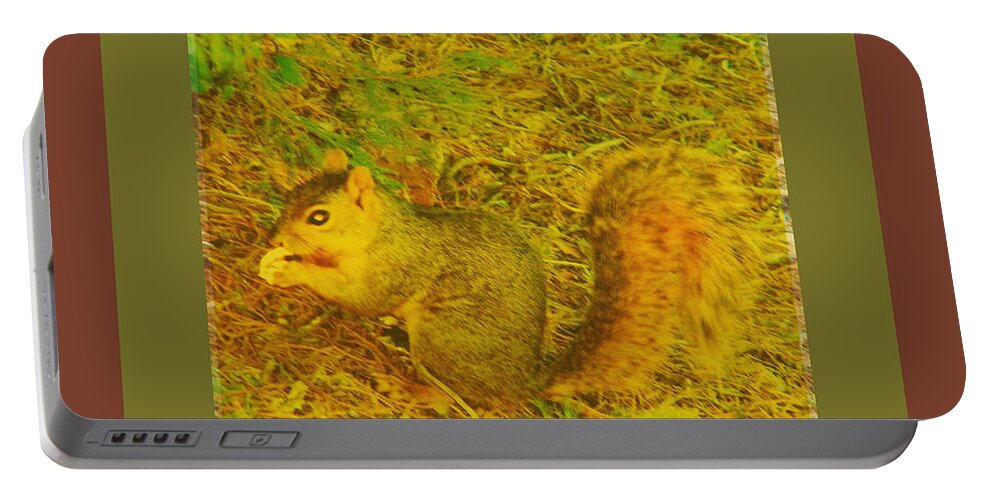 Abstract Portable Battery Charger featuring the photograph Squirrel under My Tree by Lenore Senior