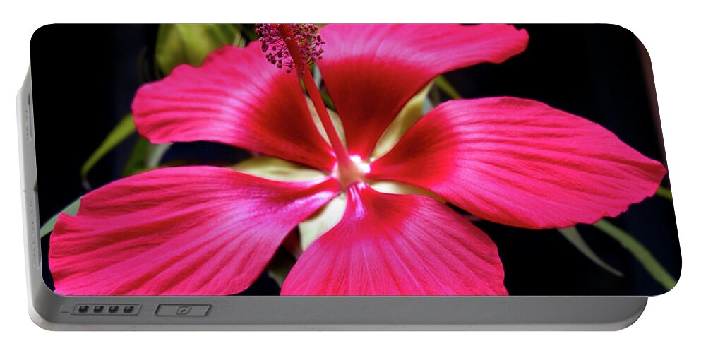 Hibiscus Photography Portable Battery Charger featuring the photograph Star of Texas II by Patricia Griffin Brett