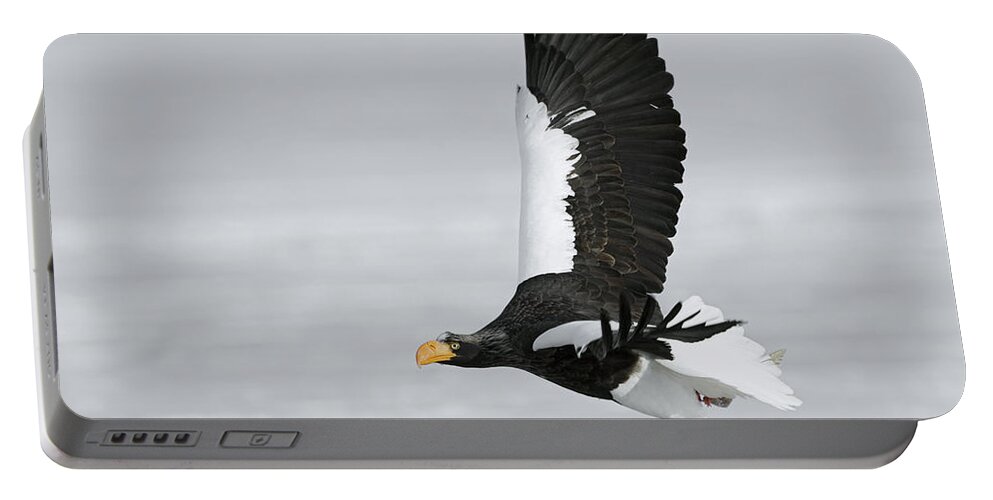00782290 Portable Battery Charger featuring the photograph Stellers Sea Eagle in Kamchatka by Sergey Gorshkov