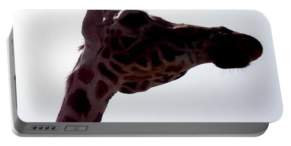 Giraffe Portable Battery Charger featuring the photograph Stretch by Kim Galluzzo Wozniak