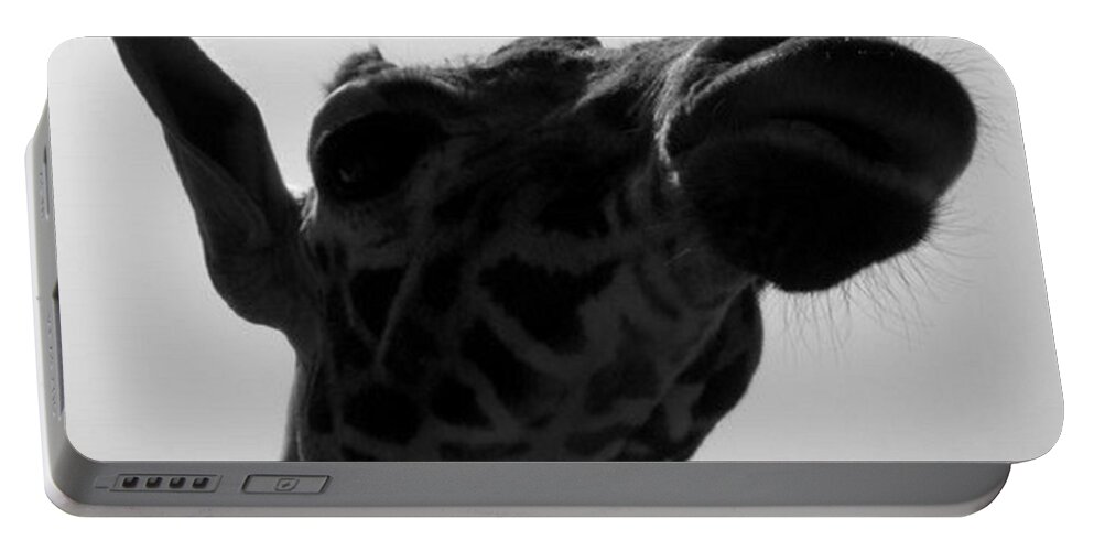 Giraffe Portable Battery Charger featuring the photograph Strike A Pose by Kim Galluzzo