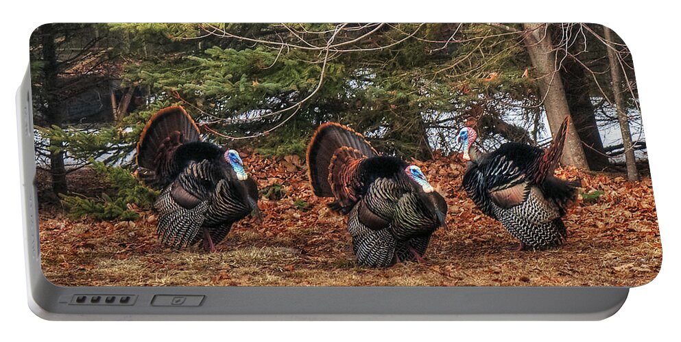 Turkey Portable Battery Charger featuring the photograph Struttin' by Terry Doyle