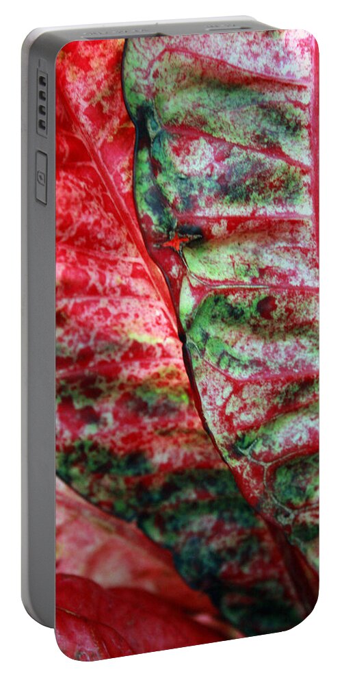 Crotons Portable Battery Charger featuring the photograph Study of the Croton 1 by Jennifer Bright Burr