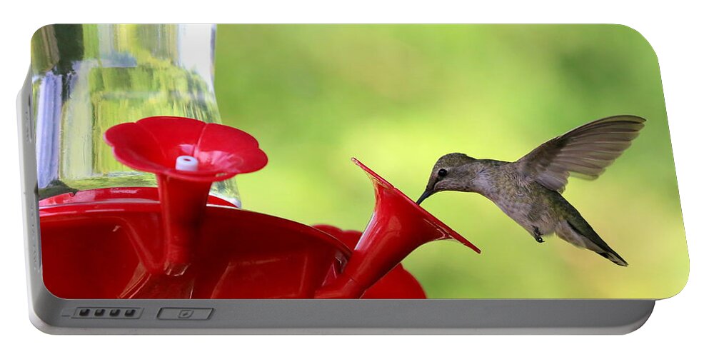 Hummingbird Portable Battery Charger featuring the photograph Summer Friend by Carol Groenen