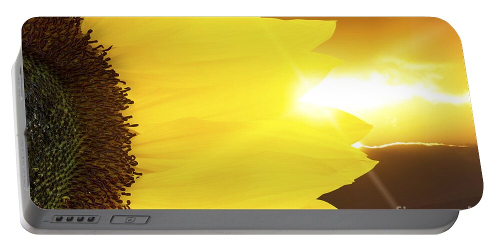 Sunflower Portable Battery Charger featuring the photograph Sunflower and sunset by Simon Bratt