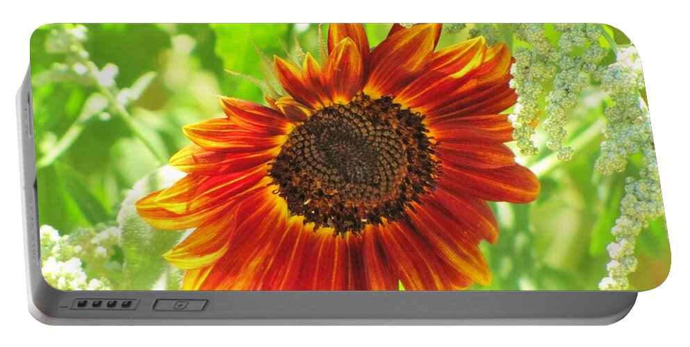 Sunflowers Portable Battery Charger featuring the photograph Sunflower Beauty by Life Inspired Art and Decor