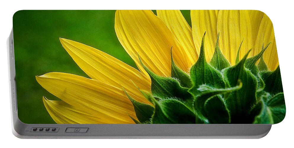 Flower Portable Battery Charger featuring the photograph Sunflower by Larry Carr