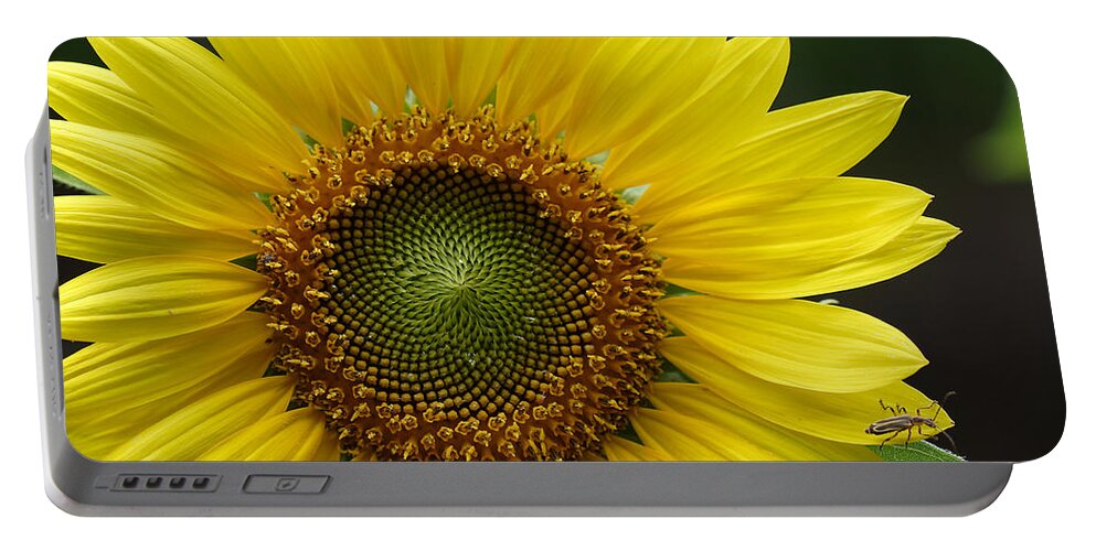 Helianthus Annuus Portable Battery Charger featuring the photograph Sunflower With Insect by Daniel Reed