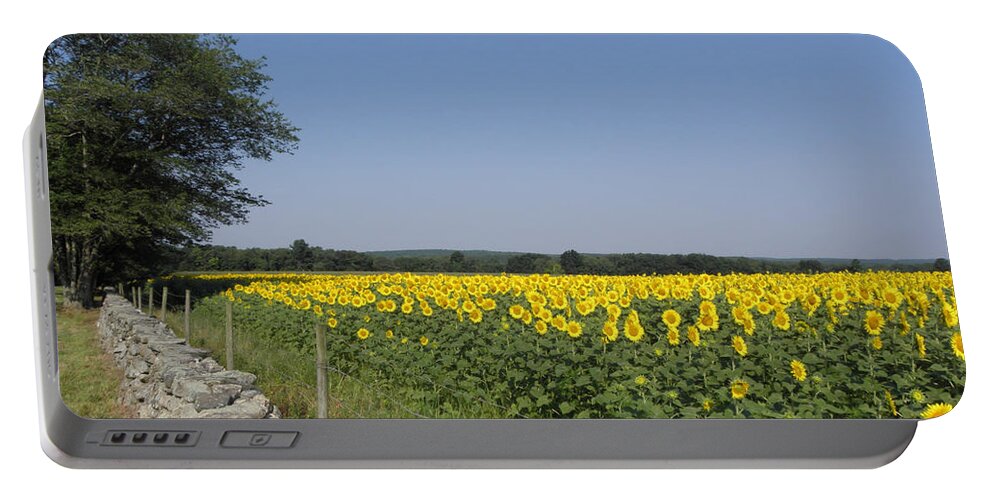 Sunflowers Portable Battery Charger featuring the photograph Sunflowers in the Country by Kim Galluzzo