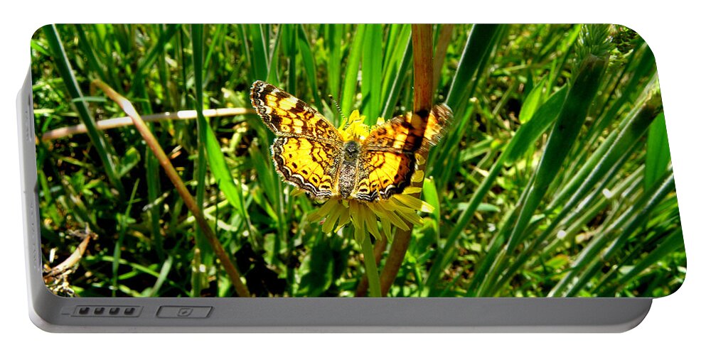 Butterfly Portable Battery Charger featuring the photograph Sunning On A Dandelion by Kim Galluzzo Wozniak