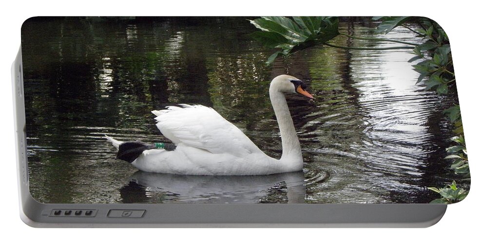 Swan Portable Battery Charger featuring the photograph Swan beauty by Kim Galluzzo Wozniak