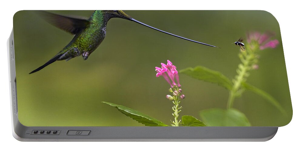 00442635 Portable Battery Charger featuring the photograph Sword Billed Hummingbird And Insect by Tim Fitzharris