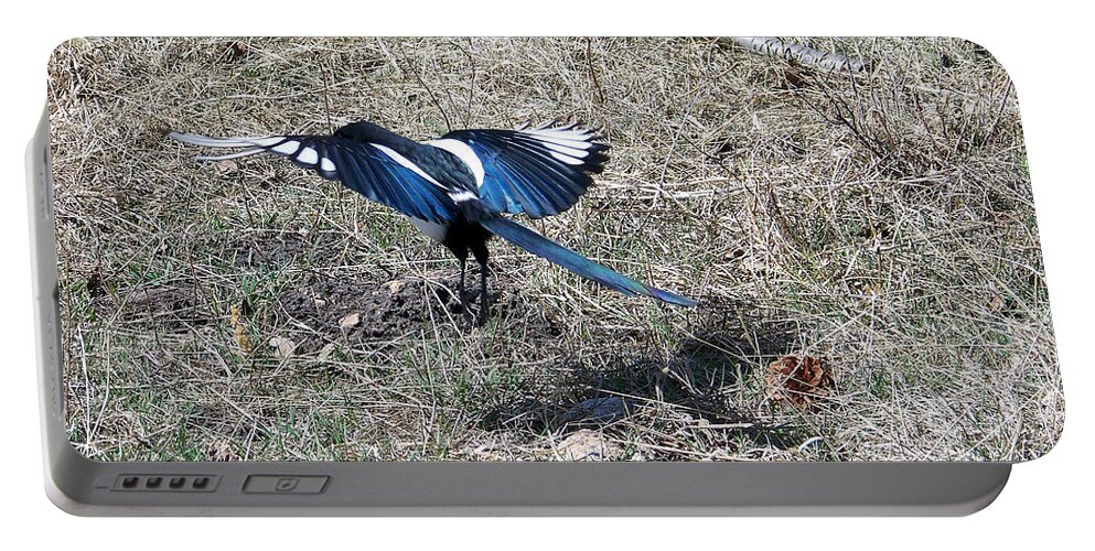 Magpie Portable Battery Charger featuring the photograph Taking Off by Dorrene BrownButterfield