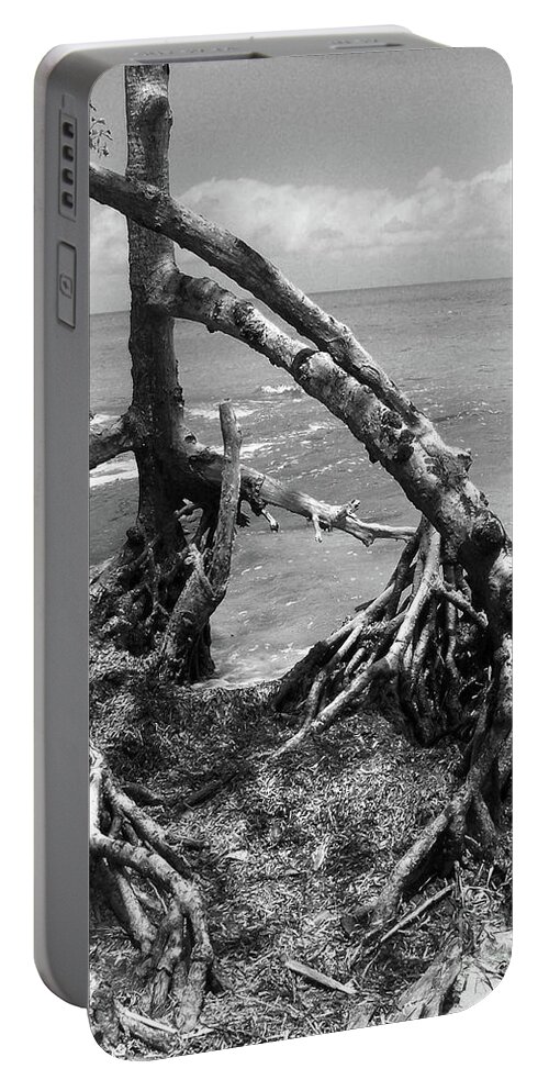 Trees Portable Battery Charger featuring the photograph Tapacula in BW by Kathy McClure