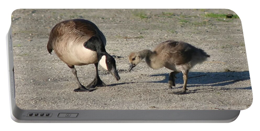 Canada Goose Portable Battery Charger featuring the photograph Teaching by Smilin Eyes Treasures