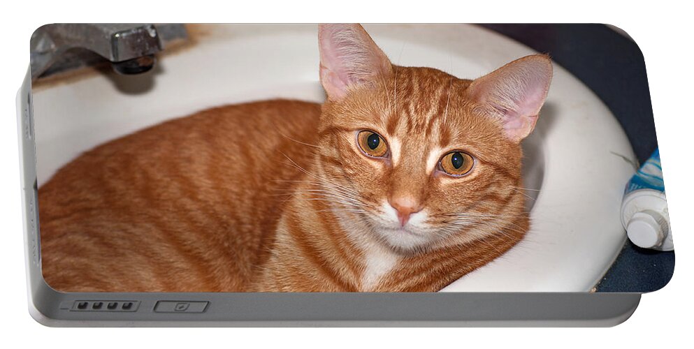 Cat Portable Battery Charger featuring the photograph That Sinking Feeling by Kenneth Albin
