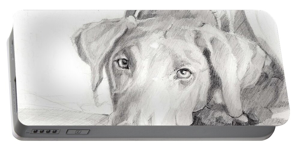 Labrador Retriever Portable Battery Charger featuring the drawing The Face Of Love by Sheila Wedegis