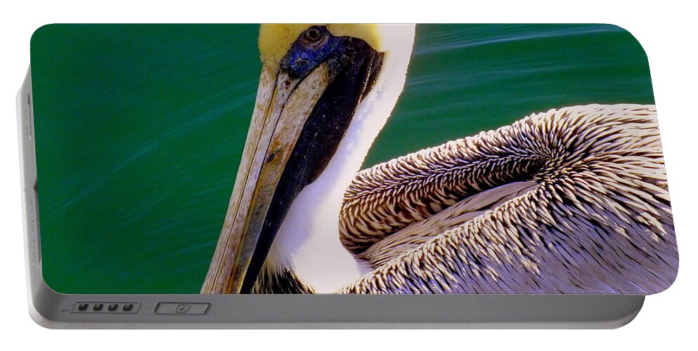 Pelicans Portable Battery Charger featuring the photograph The Happy Pelican by Karen Wiles