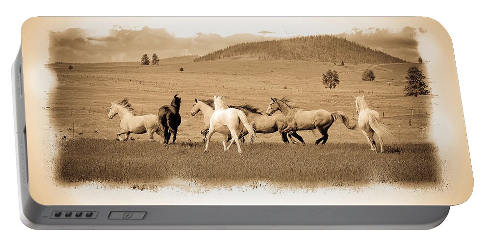 Herd Of Horses Portable Battery Charger featuring the photograph The Horse Herd by Steve McKinzie