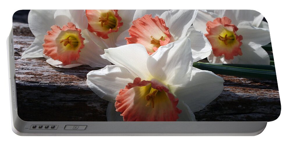 Daffodils Portable Battery Charger featuring the photograph The Ladies Of Spring by Kay Novy