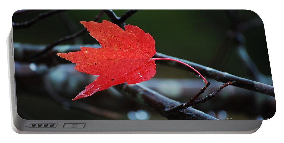 Leaf Portable Battery Charger featuring the photograph The Last Red Leaf by Robert Meanor