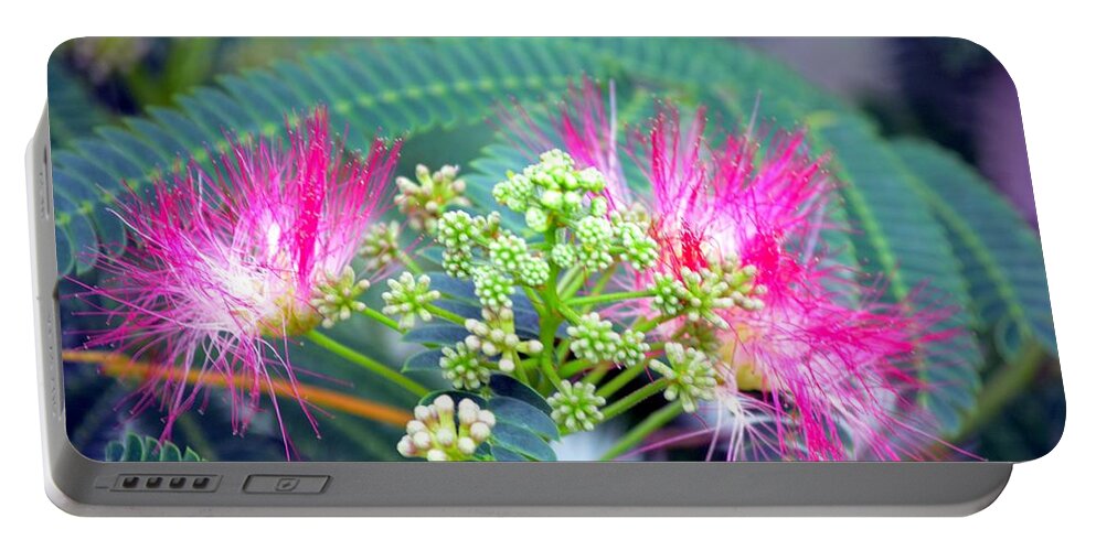 Mimosa Portable Battery Charger featuring the photograph The Mimosa Tree by Maria Urso