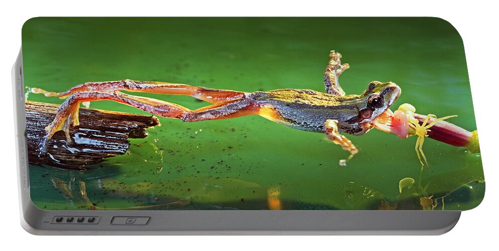 Frog Portable Battery Charger featuring the photograph The moment of predation by William Lee