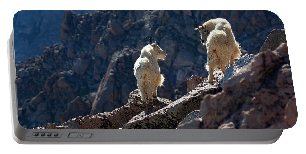 Mountain Goats; Posing; Group Photo; Baby Goat; Nature; Colorado; Crowd; Nature; Portable Battery Charger featuring the photograph The Mountaineers by Jim Garrison