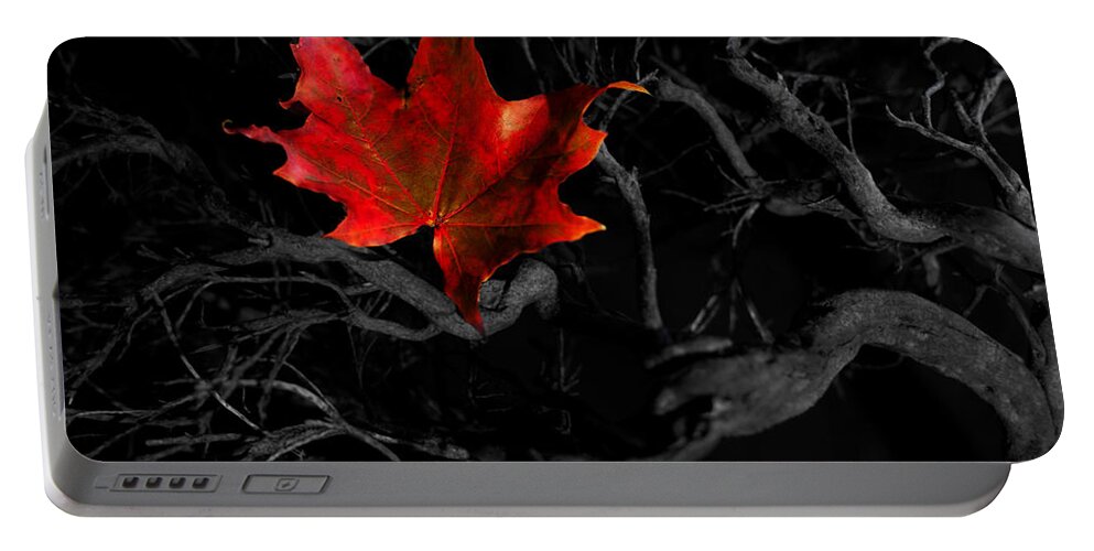 Autumn Portable Battery Charger featuring the photograph The Red Leaf by B Cash
