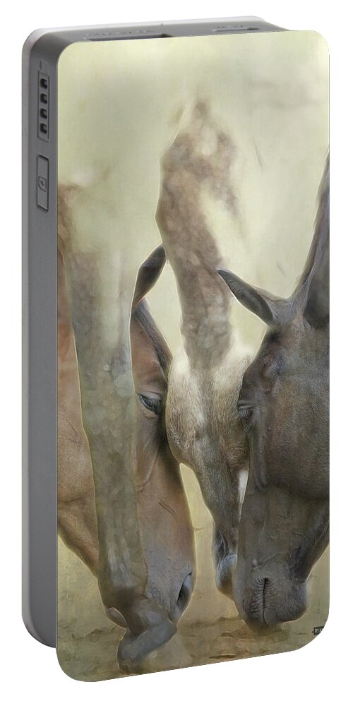 Equine Portable Battery Charger featuring the photograph The Spot by Ryan Courson