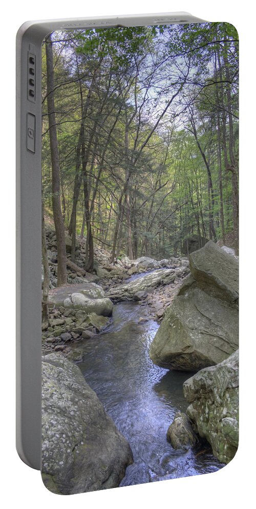 Cloudland Canyon Portable Battery Charger featuring the photograph The Stream by David Troxel