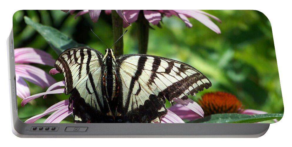 Butterflies Portable Battery Charger featuring the photograph The Survivor by Dorrene BrownButterfield