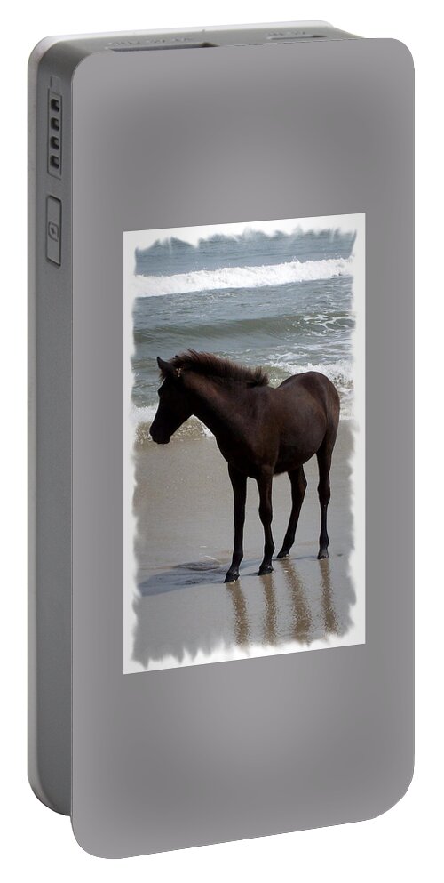 Foal Portable Battery Charger featuring the photograph Thinking About It by Kim Galluzzo Wozniak