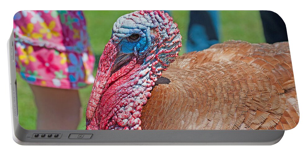Wildlife Portable Battery Charger featuring the photograph Thomas the Turkey by Kenneth Albin