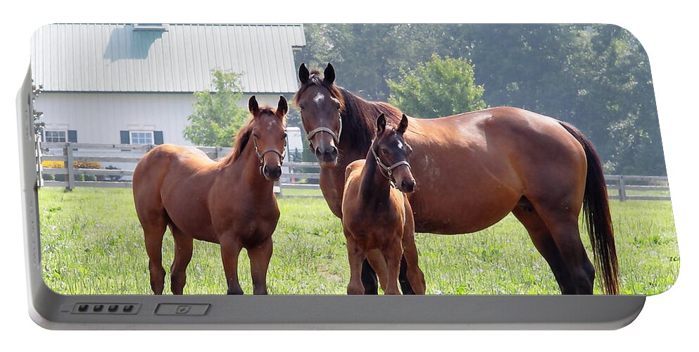  Portable Battery Charger featuring the photograph 'Three Horses of Course' by PJQandFriends Photography
