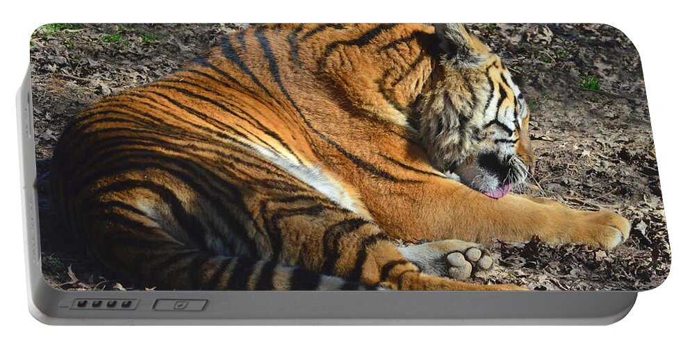 Tiger Portable Battery Charger featuring the photograph Tiger Behavior by Sandi OReilly