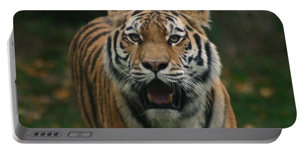 Tiger Portable Battery Charger featuring the photograph Tiger by David Rucker