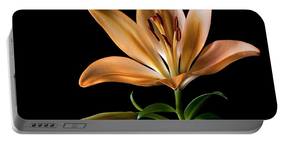 Flower Portable Battery Charger featuring the photograph Tiger Lily by Endre Balogh