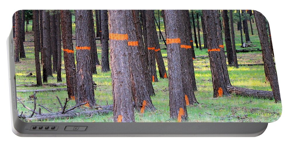 Timber Marking Portable Battery Charger featuring the photograph Timber Marking by Pamela Walrath