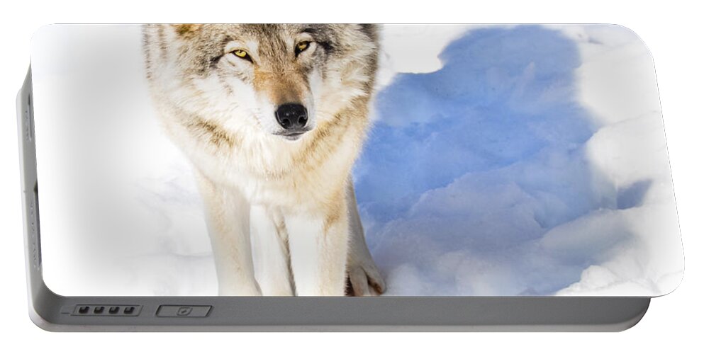 Timber Wolf Portable Battery Charger featuring the photograph TimberWolf by Cheryl Baxter