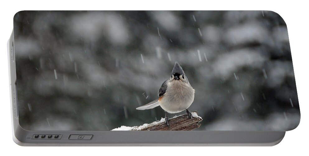 Titmouse Portable Battery Charger featuring the photograph Titmouse Endures Snowstorm by Mike Martin