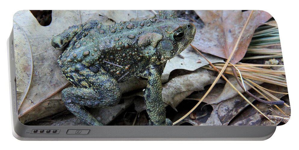 Toad Portable Battery Charger featuring the photograph Toad by Doris Potter