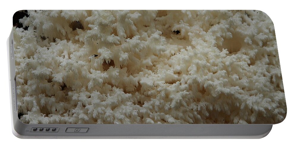 Hericium Coralloides Portable Battery Charger featuring the photograph Tooth Fungus by Daniel Reed